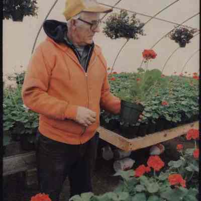 A photo view of Mr. Hawkes in his greenhouse.