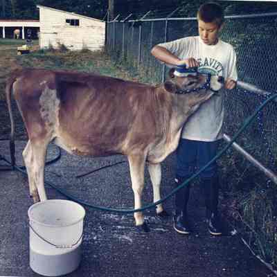 Unknown boy, calf