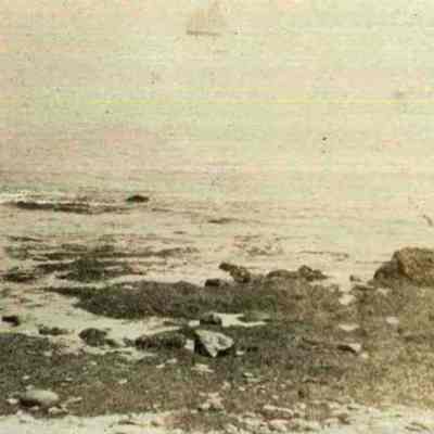 Bailey Island Shore