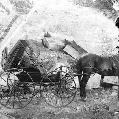 Horse and Wagon