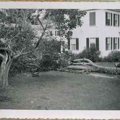 Hurricane of 1954, Elm St, Topsham