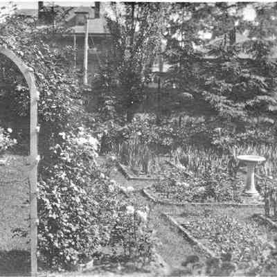 Garden at 9 Everett Street