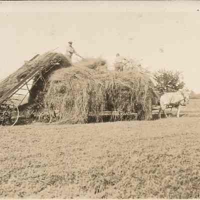 Loading Hay