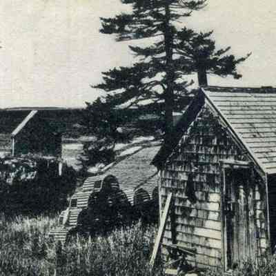 Lobsterman's Shanties, Bailey Island.