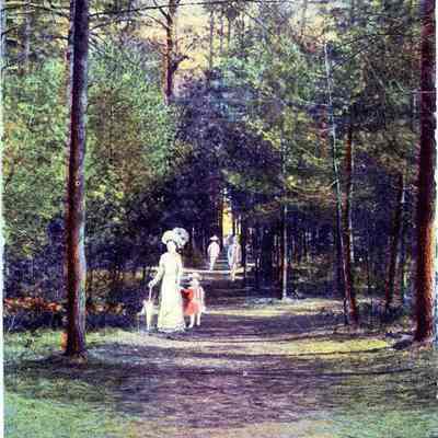 Bowdoin Pines