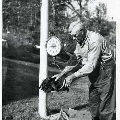 Everett Getchell