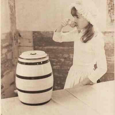 A photo view of a little girl in period costume. 10/4/1982.