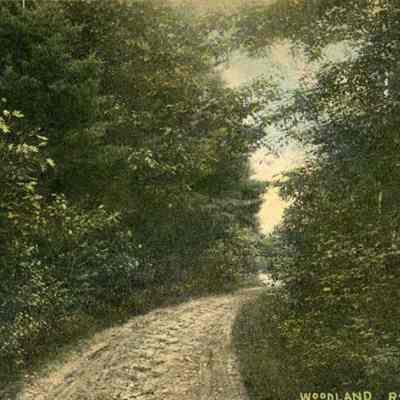 Woodland Road, Brunswick