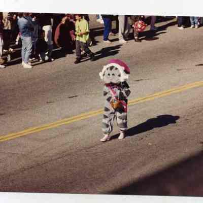 Brunswick's 250th anniversary parade