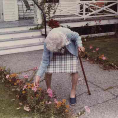 Woman Picking Flowers