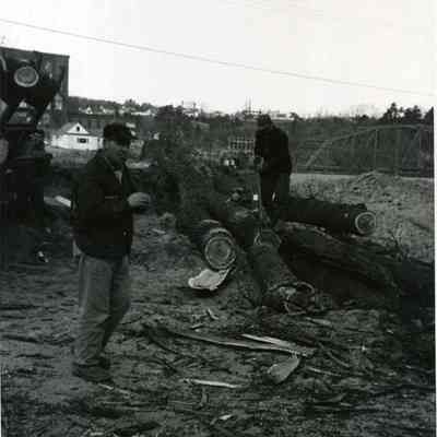 Tree Hauling, During Route 1 Construction