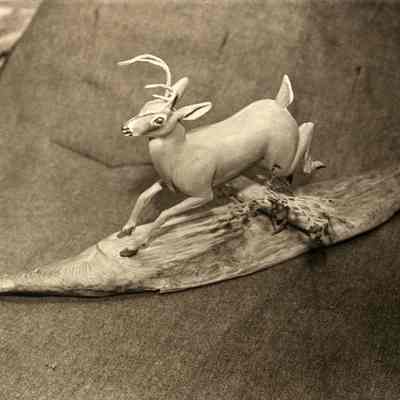 Berquist deer