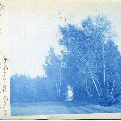 Stover's Field
