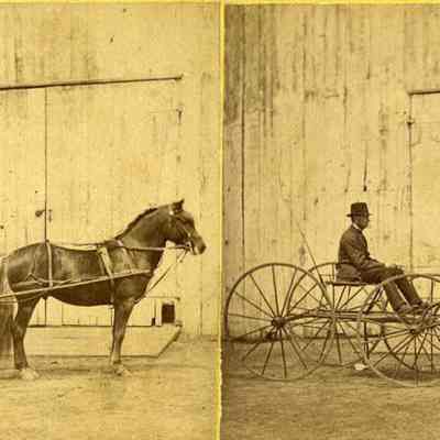 A stereoscopic view of a man and a horse.