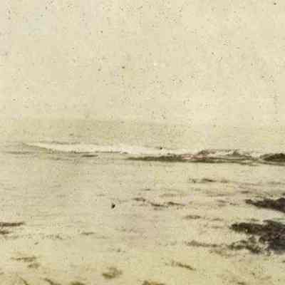 Unidentified Sea Shore
