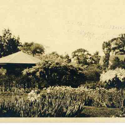 Curtis Memorial Library Gardens with Summer House