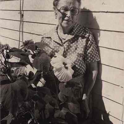 A photo view of Amelia Skolfield. 9/8/1981.