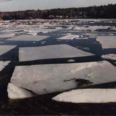 A photo view of ice in the river. 1/11/1990.