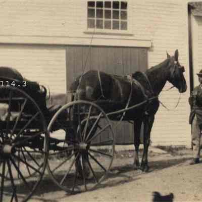 Horse and Wagon at Spinney's
