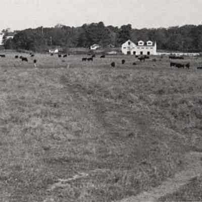 Pennellville