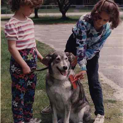 A photo view of two little girls and a dog. 6/8/1992.