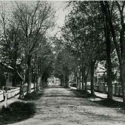 A photo of Lincoln Street.