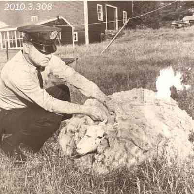 Officer John B. Marquis Jr. Examining a Dead Sheep