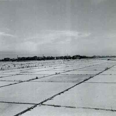 Planes on the Runway at Brunswick Naval Air Station