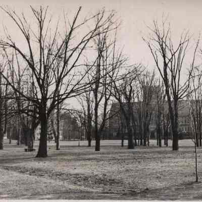 A photo of Bowdoin College campus looking south.