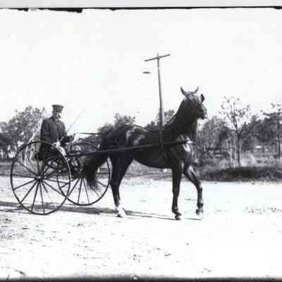 Trotting Race Horse at Merrymeeting Park