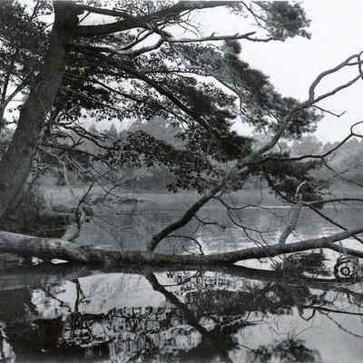 New Meadows River