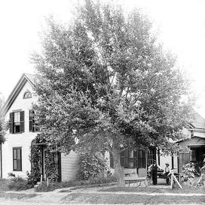 Unknown House with Budding Tree