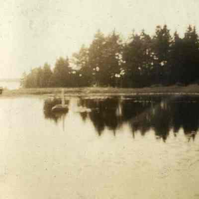 Water Scene