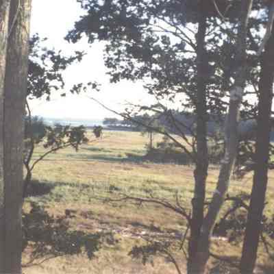 Photo of Thomas Point Beach.