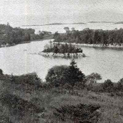 Beal's Cove