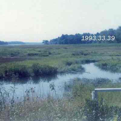 A photo of the Adams Road Marsh. Sept 1973.