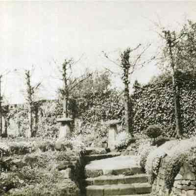 Dorothy Dennison's Garden