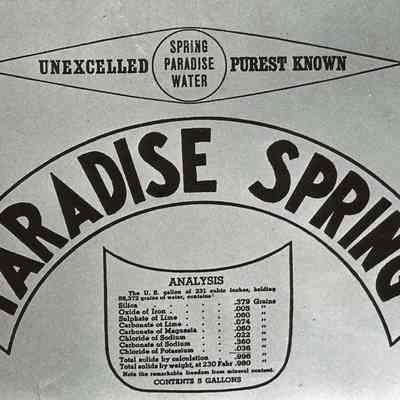 Logo of the Paradise Spring Company