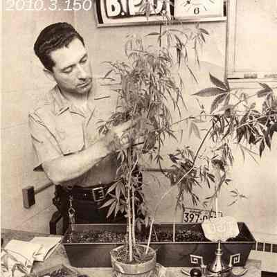 Lieutenant Larry Joy