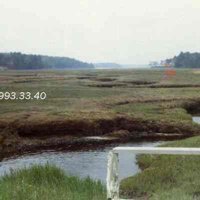 A photo of the Adams Road Marsh. 5/1973
