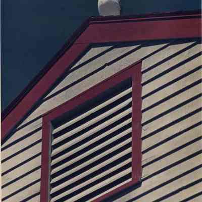 A photo view of a seagull sitting on a roof. 9/14/1988.