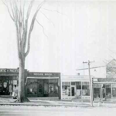 Stores on Maine Street, Brunswick