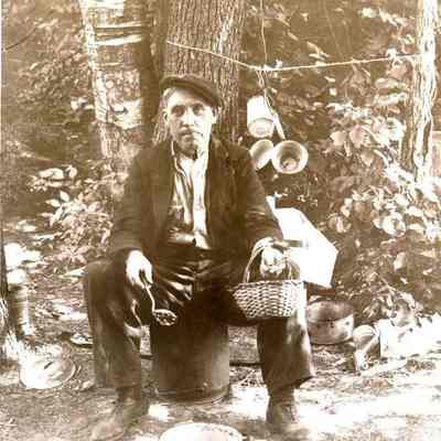 Transient at Hobo Den, Topsham