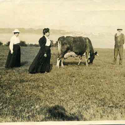 Daniel R. Stover with Boarders and a Cow