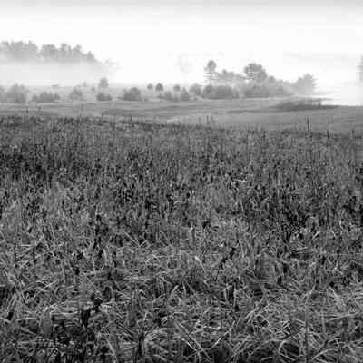 View from the Harpswell Road