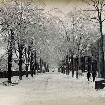 Lincoln Street, Brunswick