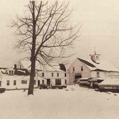 A photo view of Richard Wood's farm. 1/5/1981.