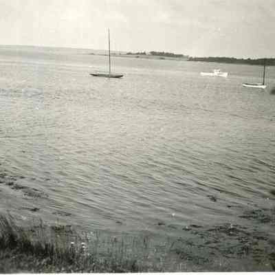 Shore Scene