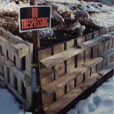 A photo view of a pig sty. 11/30/1989.