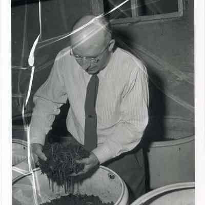 Norman W. Emerson
